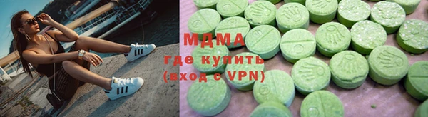 индика Горнозаводск