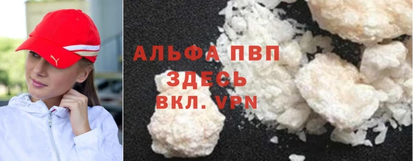 индика Горнозаводск