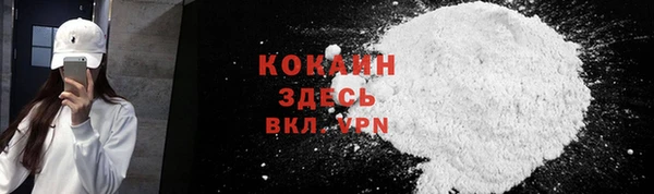 дмт Горняк