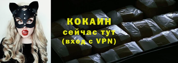 дмт Горняк