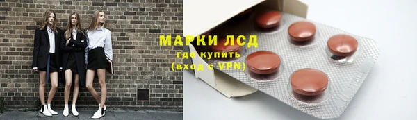 индика Горнозаводск