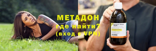 индика Горнозаводск