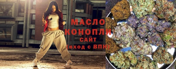 индика Горнозаводск