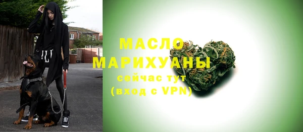 дмт Горняк