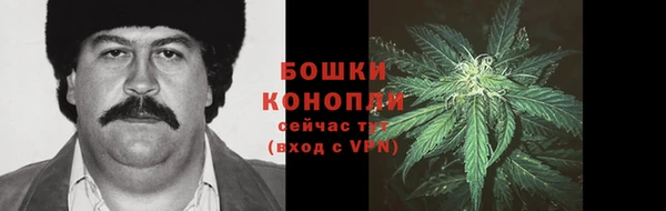 ГАЛЛЮЦИНОГЕННЫЕ ГРИБЫ Гусиноозёрск