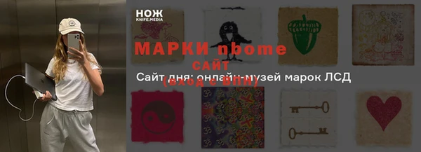 индика Горнозаводск