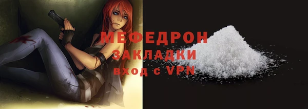 индика Горнозаводск