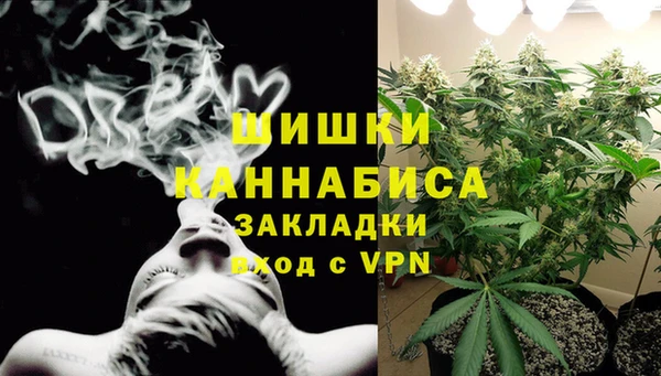 индика Горнозаводск