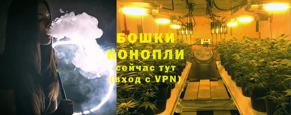 индика Горнозаводск