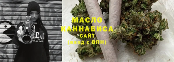 индика Горнозаводск